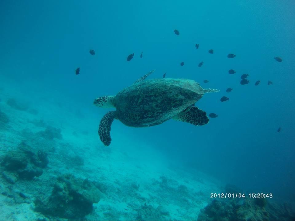 Libong Sea Breeze Resort Екстериор снимка